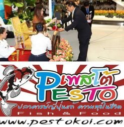 Pesto Koi Farm ความสุขในชีวิต Fish & Food